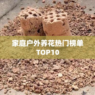 家庭戶外養花熱門榜單TOP10