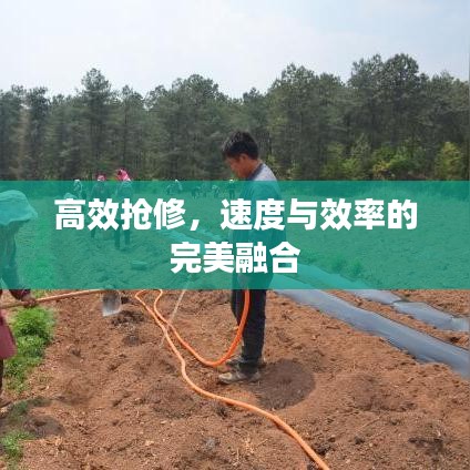 高效搶修,速度與效率的完美融合