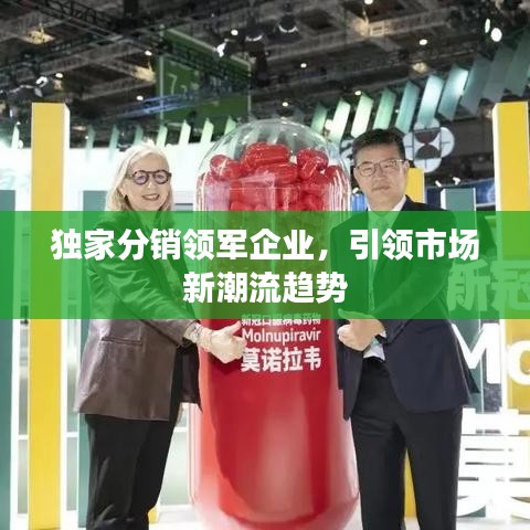 獨家分銷領軍企業(yè),引領市場新潮流趨勢
