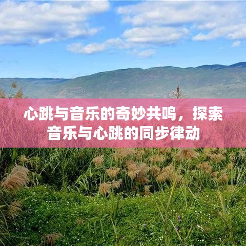 心跳與音樂的奇妙共鳴,探索音樂與心跳的同步律動(dòng)