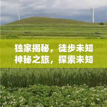 獨家揭秘,徒步未知神秘之旅,探索未知的極致體驗