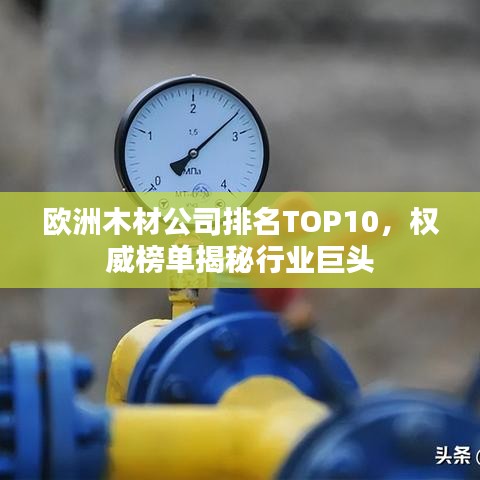 歐洲木材公司排名TOP10，權威榜單揭秘行業巨頭