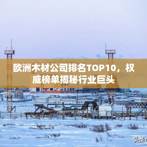 歐洲木材公司排名TOP10,權(quán)威榜單揭秘行業(yè)巨頭