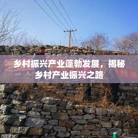 鄉(xiāng)村振興產業(yè)蓬勃發(fā)展,揭秘鄉(xiāng)村產業(yè)振興之路