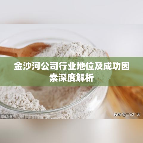 金沙河公司行業地位及成功因素深度解析