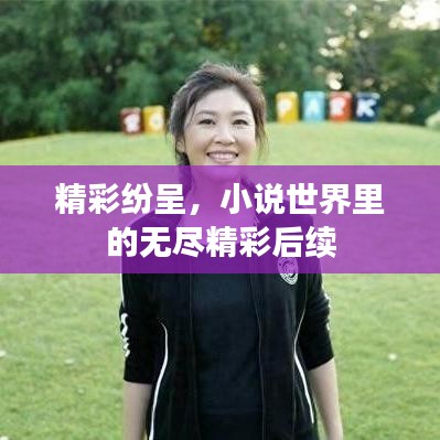 精彩紛呈,小說世界里的無盡精彩后續