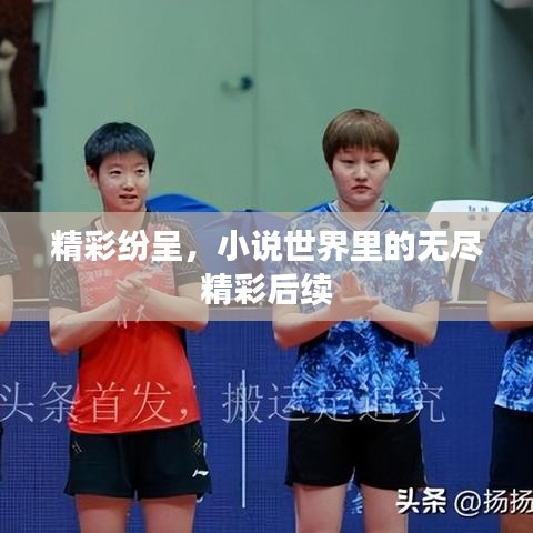 精彩紛呈,小說(shuō)世界里的無(wú)盡精彩后續(xù)