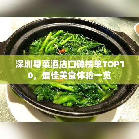 深圳粵菜酒店口碑榜單TOP10,最佳美食體驗一覽