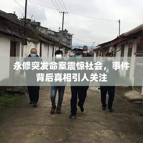 神氣十足 第3頁