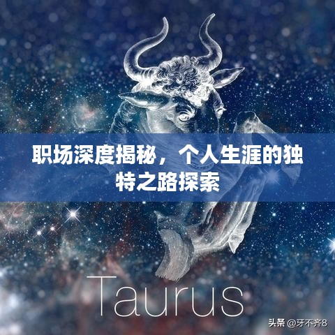 職場(chǎng)深度揭秘，個(gè)人生涯的獨(dú)特之路探索