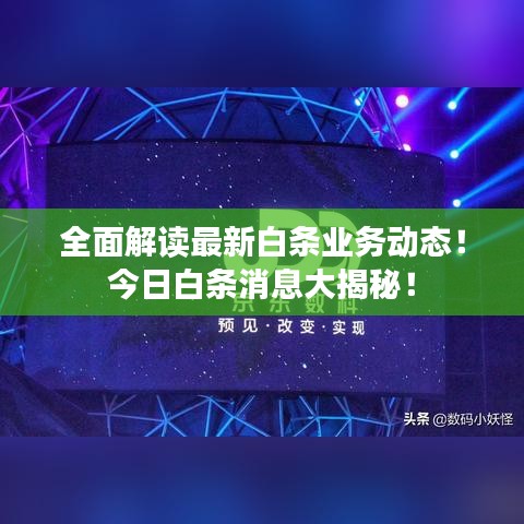 全面解讀最新白條業(yè)務(wù)動(dòng)態(tài)!今日白條消息大揭秘!