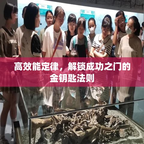 高效能定律,解鎖成功之門的金鑰匙法則