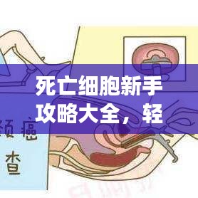 死亡細(xì)胞新手攻略大全,輕松上手游戲秘籍!