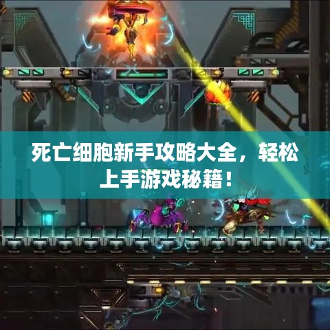 死亡細胞新手攻略大全,輕松上手游戲秘籍!