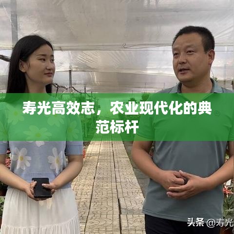 壽光高效志,農(nóng)業(yè)現(xiàn)代化的典范標(biāo)桿