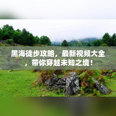 衣無二彩 第3頁