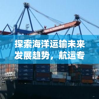 探索海洋運輸未來發展趨勢,航運專題揭秘行業前景