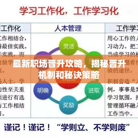 最新職場晉升攻略,揭秘晉升機制和秘訣策略