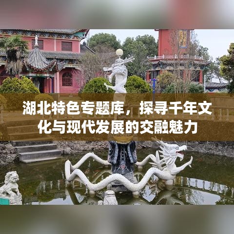 展翅欲飛 第3頁