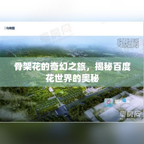 骨架花的奇幻之旅,揭秘百度花世界的奧秘