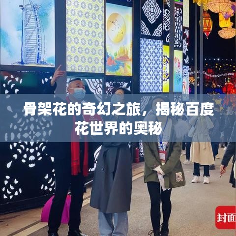 骨架花的奇幻之旅,揭秘百度花世界的奧秘