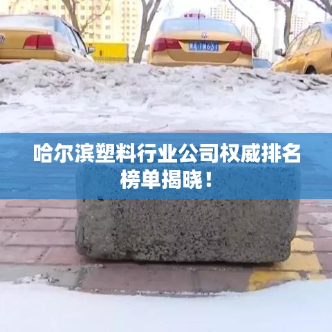 哈爾濱塑料行業公司權威排名榜單揭曉!