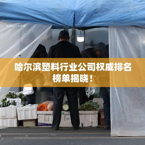 哈爾濱塑料行業公司權威排名榜單揭曉!