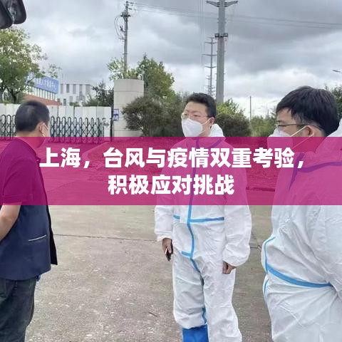 衣不完采 第3頁