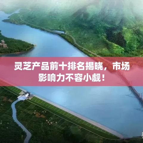 靈芝產(chǎn)品前十排名揭曉,市場影響力不容小覷!