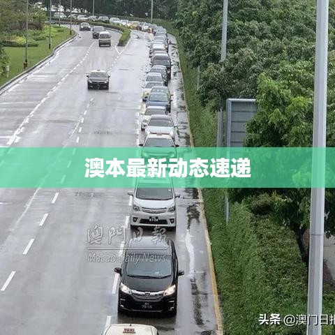 澳本最新動態速遞