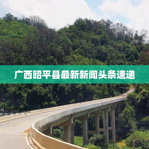 廣西昭平縣最新新聞頭條速遞