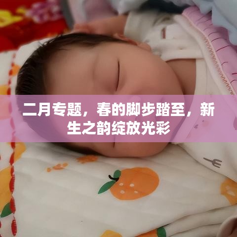 二月專題,春的腳步踏至,新生之韻綻放光彩