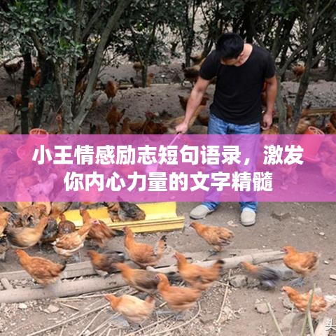 小王情感勵志短句語錄，激發你內心力量的文字精髓