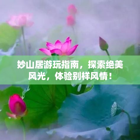 妙山居游玩指南,探索絕美風(fēng)光,體驗(yàn)別樣風(fēng)情!