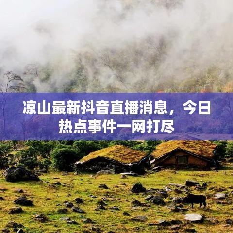 涼山最新抖音直播消息,今日熱點事件一網打盡