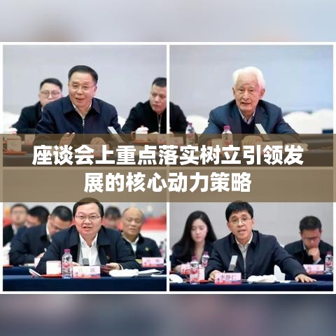 座談會(huì)上重點(diǎn)落實(shí)樹(shù)立引領(lǐng)發(fā)展的核心動(dòng)力策略