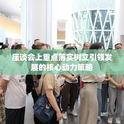 座談會上重點落實樹立引領發展的核心動力策略