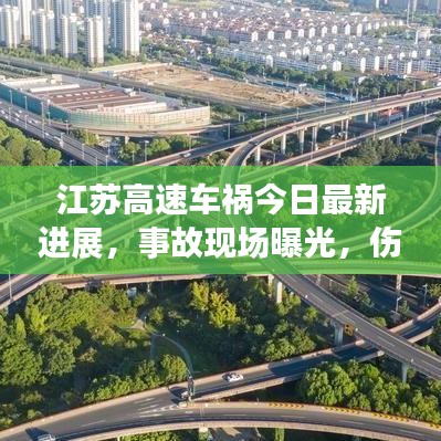江蘇高速車禍今日最新進展,事故現場曝光,傷亡人數令人痛心