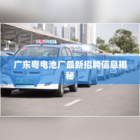 廣東粵電池廠最新招聘信息揭秘