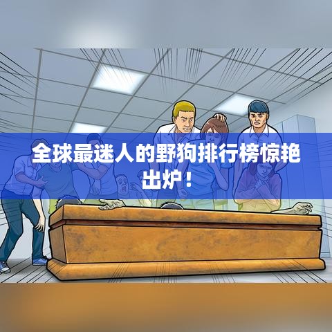 全球最迷人的野狗排行榜驚艷出爐!