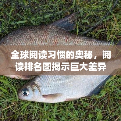 全球閱讀習(xí)慣的奧秘,閱讀排名圖揭示巨大差異!