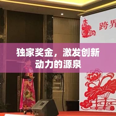 獨(dú)家獎(jiǎng)金,激發(fā)創(chuàng)新動(dòng)力的源泉