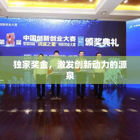 獨家獎金,激發創新動力的源泉