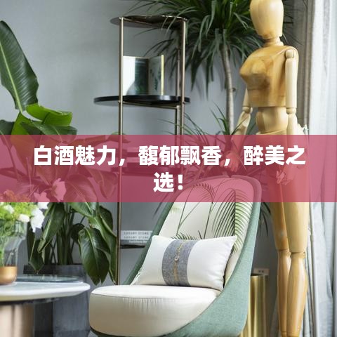 白酒魅力，馥郁飄香，醉美之選！
