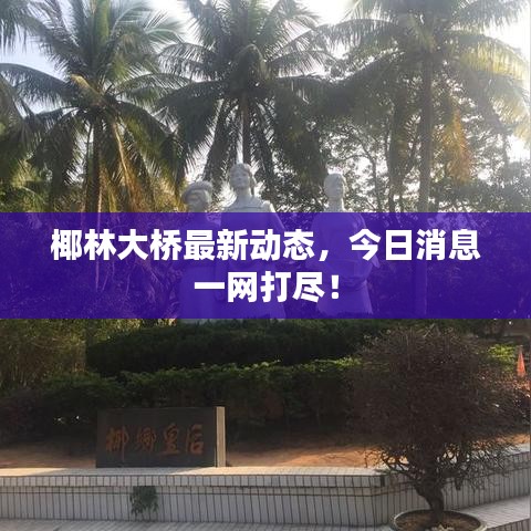 椰林大橋最新動(dòng)態(tài),今日消息一網(wǎng)打盡!