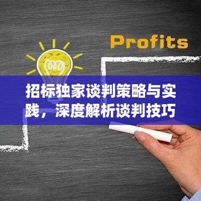招標(biāo)獨(dú)家談判策略與實(shí)踐,深度解析談判技巧,助力成功中標(biāo)!