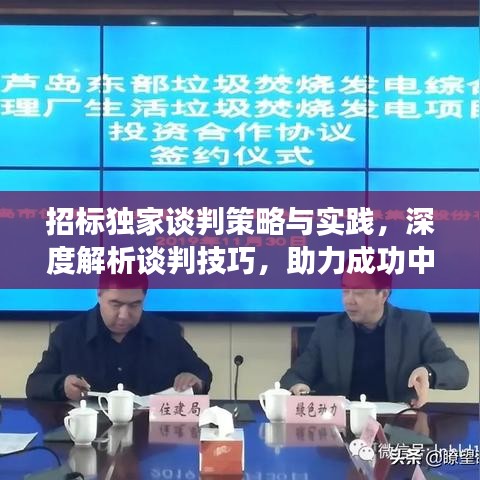 招標(biāo)獨(dú)家談判策略與實(shí)踐,深度解析談判技巧,助力成功中標(biāo)!