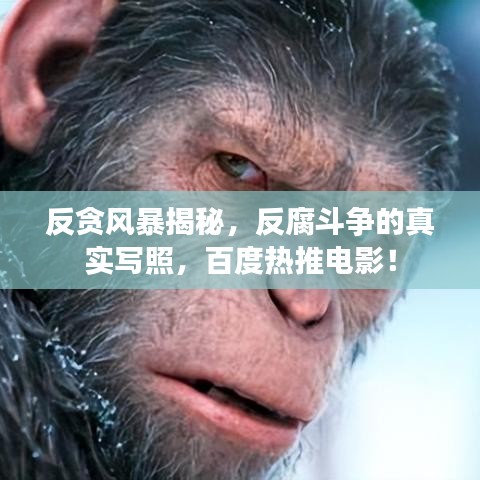 反貪風暴揭秘,反腐斗爭的真實寫照,百度熱推電影!