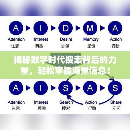 揭秘數字時代搜索背后的力量,輕松掌握海量信息!