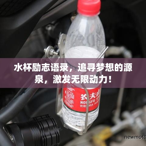 水杯勵志語錄,追尋夢想的源泉,激發無限動力!